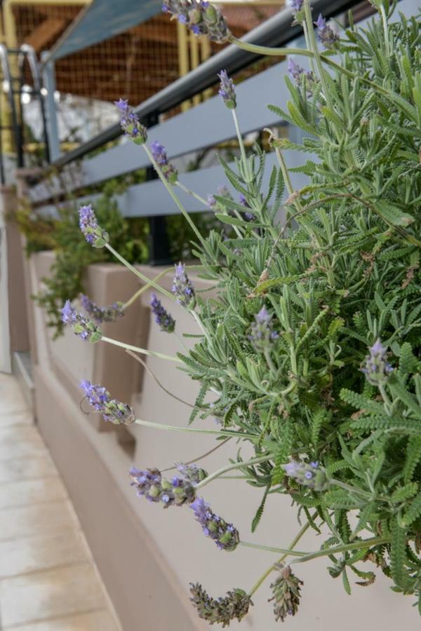 Aromatic Home Kíssamos Exterior foto